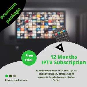 IPTV Subscription for 12 Months